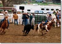 Ted Team Roping (1998)
